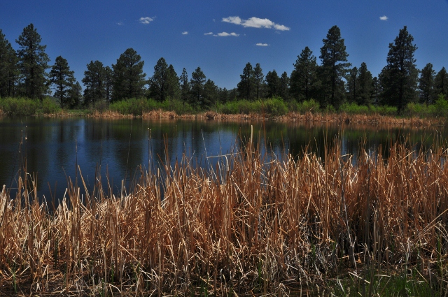Echo Basin Ranch and RV Park, Rainbow Lake